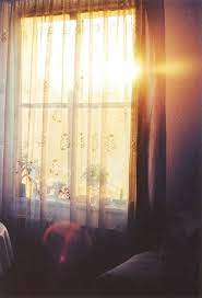 Maybe you would like to learn more about one of these? Greenlikebathwater Morning Light Light And Shadow Photo