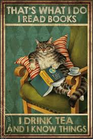 I Know Things In 2020 Books Cats My Books