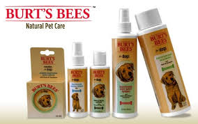Burt S Bees Launches Natural Pet Care Line Natural Pet Care Natural Pet Pet Care
