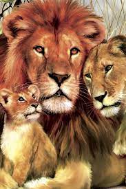 Lion Family Hugs And Love Wild Animals Hd Mobile Wallpaper Animal Lion Family Hugs Love Wild Animals Iphone Androi Lion Family Animals Wild Family Hug