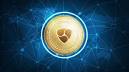 image of NEM