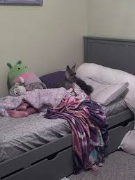 Spotted In Edmonson Co.