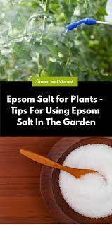 There are a variety of ways that you can use epsom salt for plants in your garden as well. Epsom Salt For Plants Tips For Using Epsom Salt In The Garden Trees Com