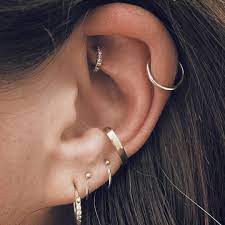 Pin On Jaws N Claws