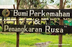 Hasil gambar untuk foto wisata bandung selatan ciwidey