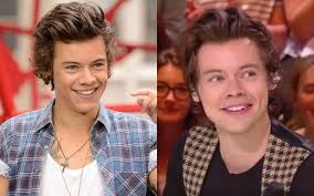 His zodiac sign is aquarius. Have You Noticed 2017 Harry Styles Looks Exactly Like 2013 Harry Styles