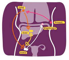 While everyone's experience with mbc is different. Molecular Clock Blood Test Could Help Identify Actively Growing Tumors In Metastatic Breast Cancer