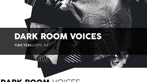 All vocals were written and recorded by vocal downloads artists. Dark Room Voices Sample Pack Female Vocal Loops Dark Kinky Sex Vocal Samples Royalty Free Youtube