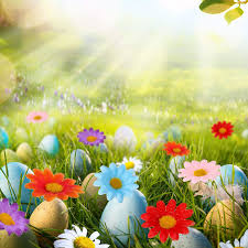 We did not find results for: Buy Willbond 100 Packs Fabric Daisy Flower Heads Fake Flowers 4 Cm Artificial Daisies Craft For Easter Bonnet Wedding Party Decorations Mixed Color Online In Vietnam B0841vcmcf