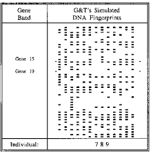 Dna Fingerprinting