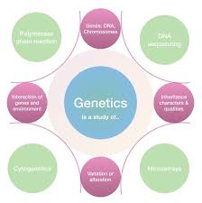 Pin On Genetic Education