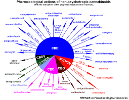 Matt Sands Cannabis Is Medicine Decarboxylation And