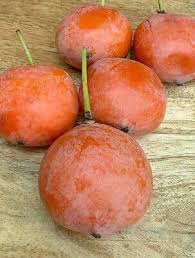 Image result for Garcinia livingstonei