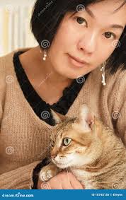 2,443 China Pet Cat Stock Photos