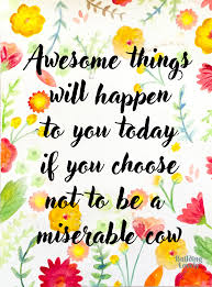 Awesome Things Will Happen To You Today If You Choose Not To Be A Miserable Cow Funny Sayings Funny Thou Funny Quotes About Life Funny Thoughts Funny Quotes