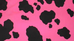 Check spelling or type a new query. Pink And Black Cow Print Hd Cow Print Wallpapers Hd Wallpapers Id 37574