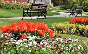 Maybe you would like to learn more about one of these? Madisonville Landscaping Pressure Washing Water Drainage K R Home Services Monroe County Tn