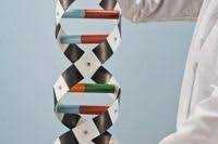 How To Make A 3d Dna Model With Construction Paper Ehow Dna Model Nanotechnology Dna Project