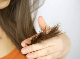 Split ends damages your hair by breaking them so it is essential and vital to. 50 Best Natural Tips For How To Make Hair Grow Faster