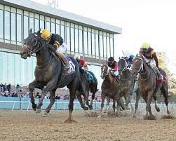 Racingdudes.com is the destination site for all things horse racing. Papa Dudes Free Picks For Oaklawn Park 4 16 21 Thoroughbred Racing Dudes