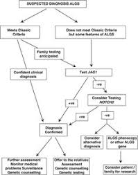 8 best alagille syndrome images bile duct genetics liver