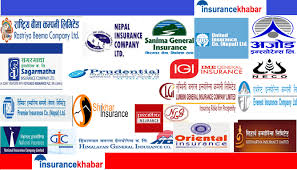 Your name is such a critical part of your brand. Five Non Life Insurers Hold 50pc Of Market Share Insurance Khabar English Edition