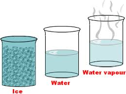We did not find results for: Perubahan Zat Pengertian Macam Bentuk Ciri Contoh Gambar