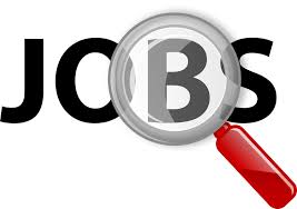 Image result for job images