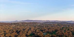 Agency Growth & Profit Masterclass, Albury