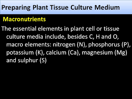 Hepatocytes, microsomes, s9, cytosol, homogenate, cell lines Preparing Plant Tissue Culture Medium Ppt Video Online Download