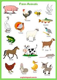 Farm Animals English4good Vocabulary Practice Farm Animals Preschool Farm Animals Pictures Farm Animals For Kids