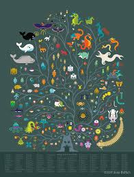 Community Post Hyrule Biology Chart Legend Of Zelda Deku Tree Evolutionary Biology
