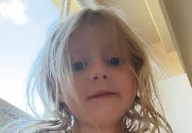 🧻 Here's what happens at home when I'm at work…