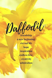 Daffodil Symbolic Meaning In 2020 Daffodil Flower Daffodils Flower Meanings