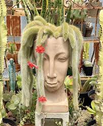 Haute Finds // Austin Hill Country Spring 2023 by HAUTE FINDS PUBLISHING