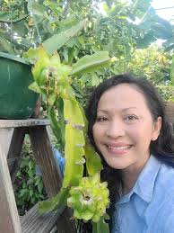 Bruni fruit review: sweet, juicy, and crunchy