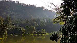 State of selangor darul ehsan Lindungi Hutan Untuk Imbangi Ekosistem Alam Semulajadi
