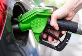 Tabi fits leaks one more first-rate service from this