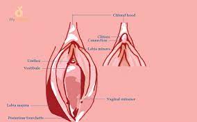 How To Treat Vaginal Fissures Cracks Cuts And Tears My Vagina