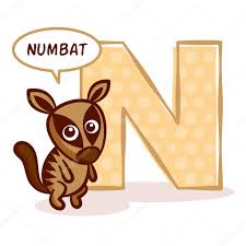 The first time through jack names the animal . Abc Zoo Alphabet Letter N Numbat Stock Vector Image By C Ichbinsam 128476472