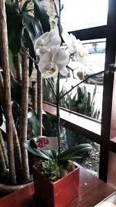 Maybe you would like to learn more about one of these? Flowers And Services Flowersservices Twitter