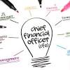 Alternative titles for this job include financial officer, finance clerk, treasurer. 1