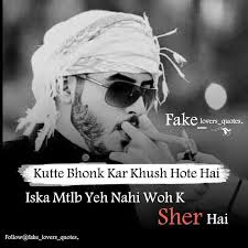 Zaidu Uff Nawab Quotes About Haters Positive Attitude Quotes Attitude Quotes For Boys