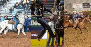 Ace Ashford, 18, Dies in Horse Accident Aug. 12, 2024