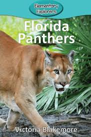 They compete in the national hockey league (nhl) as a member of the central division. Florida Panthers Von Victoria Blakemore Englisches Buch Bucher De