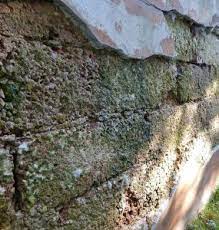 Dringt das wasser von unten in das mauerwerk ein und wandert dort durch kapillaren und poren hinauf, bietet nur eine horizontalsperre langfristigen schutz. Feuchtigkeit Keller Sanierung Kosten Ein Ratgeber Fur Basiswissen