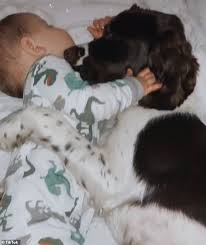 Heartwarming Videos Capture Amazing Bond Between Toddler And His Dog Daily Mail Online
