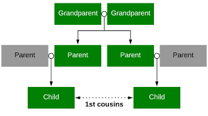 Cousin Calculator How To Calculate Cousinhood And Family