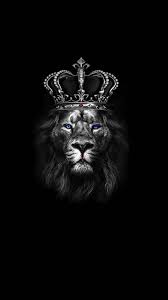 Free Wallpapers Zedge Black Background Wallpaper Black Phone Wallpaper Lion Wallpaper