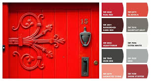 Red Door In Ireland